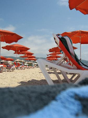 Pension Delfini Seaview主图