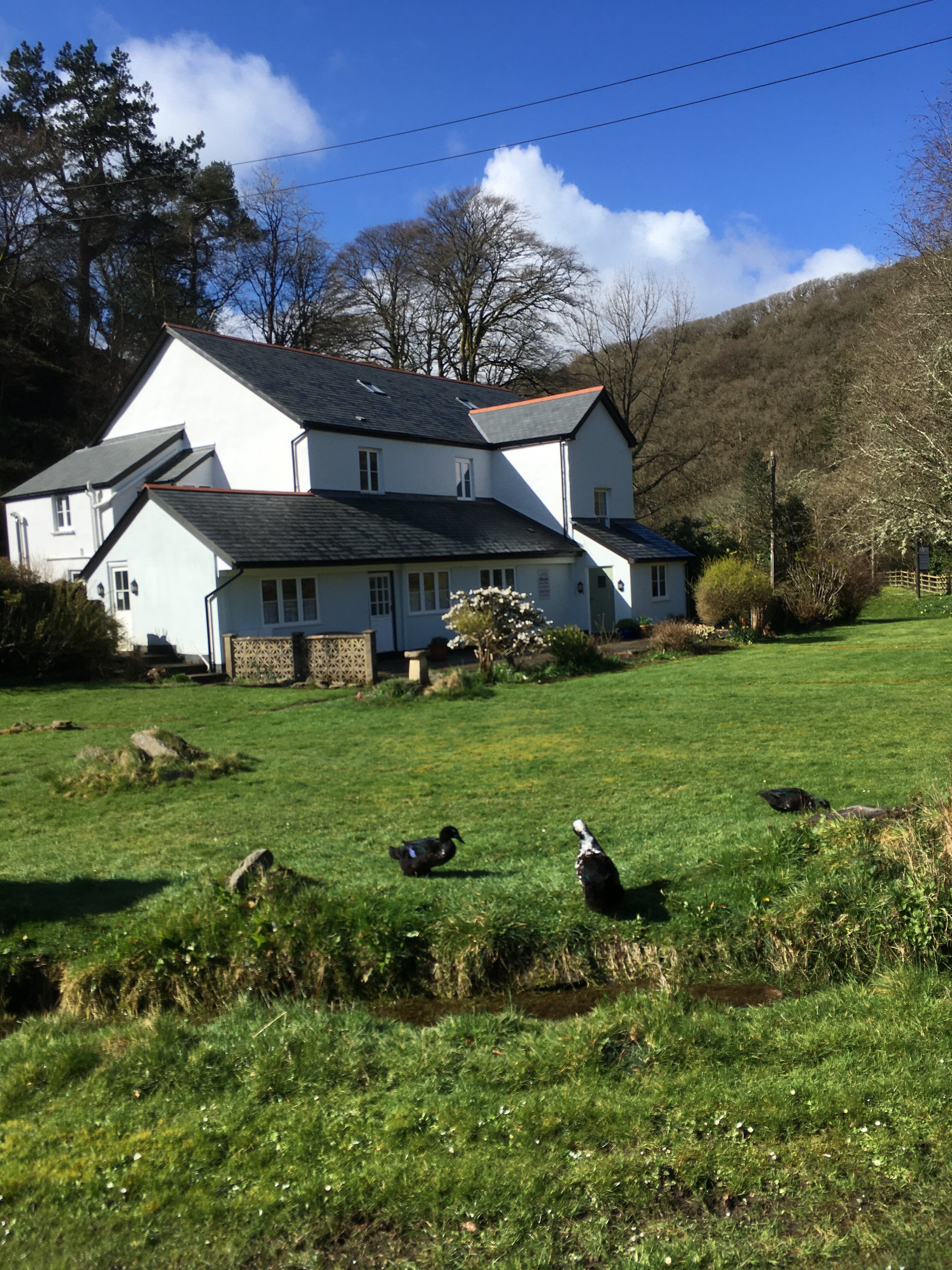 Millslade Country House-浴室