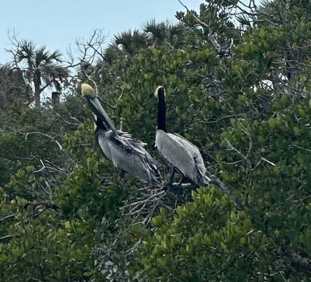 Sol Vibes Charters-恩格尔伍德必去景点