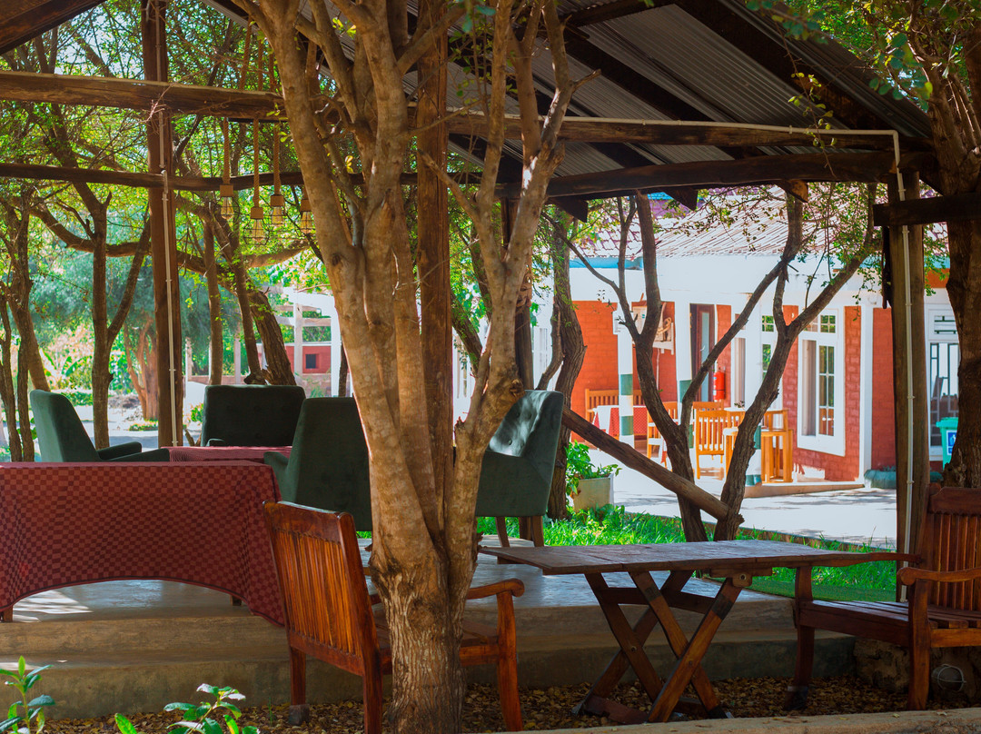 Mkomazi Hotels and Campsite主图