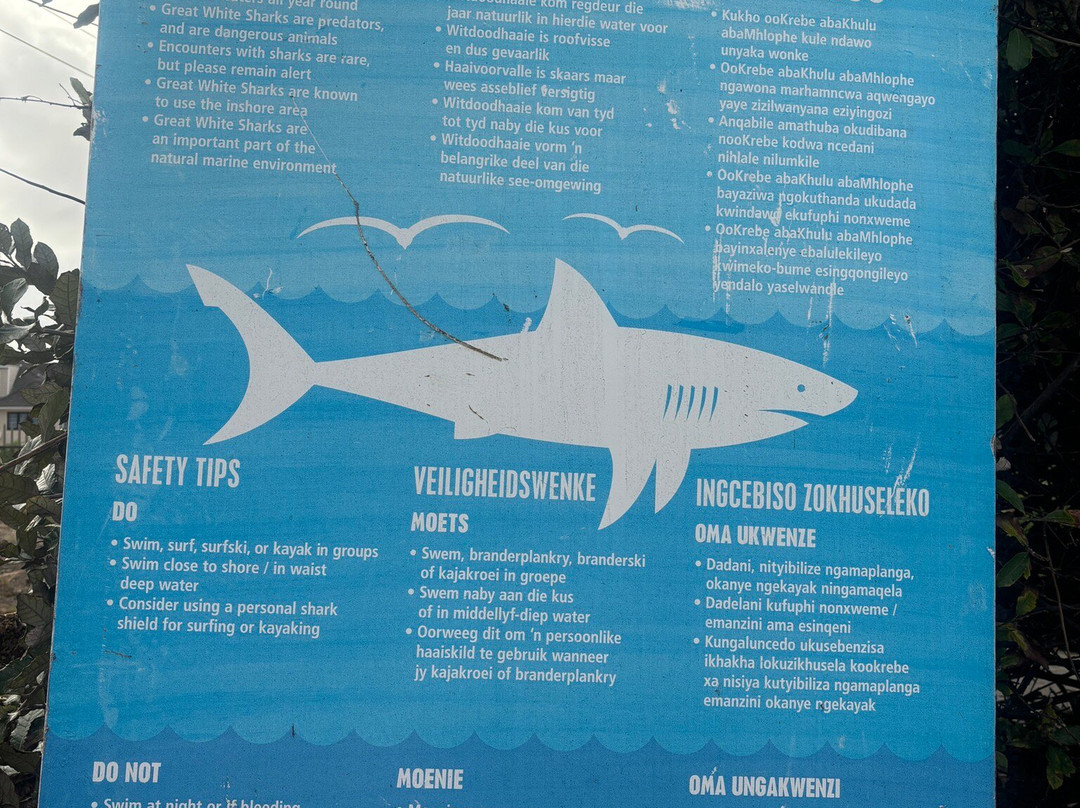 Sunny Cove Manor主图