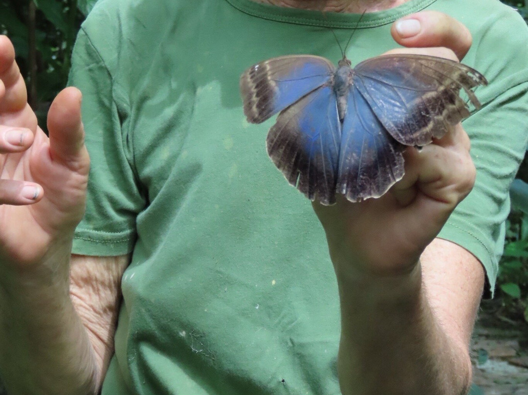 Pilpintuwasi - Wildlife Rescue Center And Butterfly Farm景点图片
