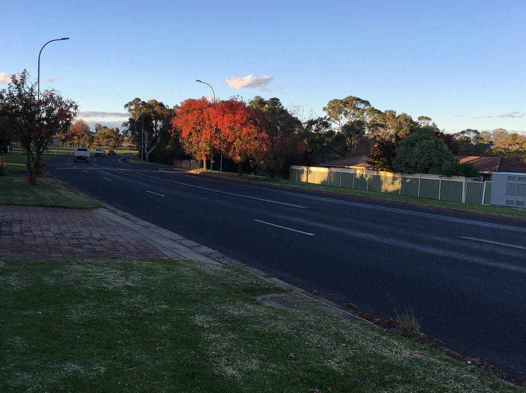 阿米代尔汽车旅馆主图