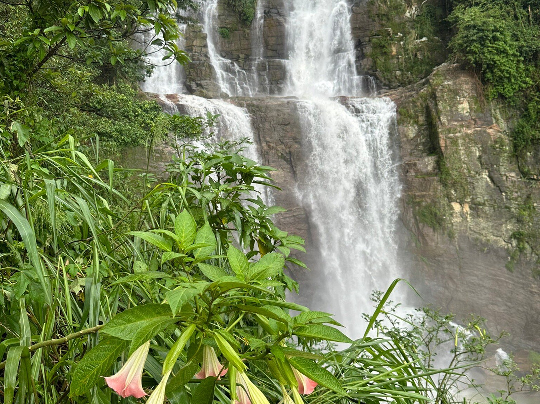 Rk tours (travel with ragu) nanuoya-Nanu Oya必去景点