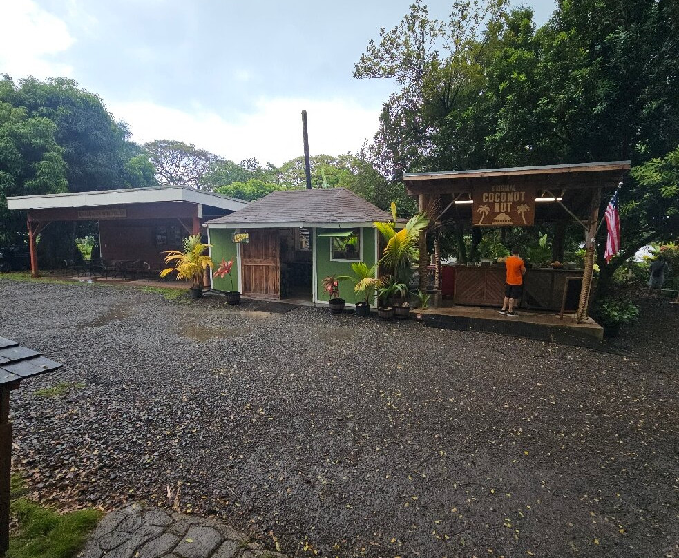 热带农场,澳洲坚果农场之旅-卡内奥赫必去景点