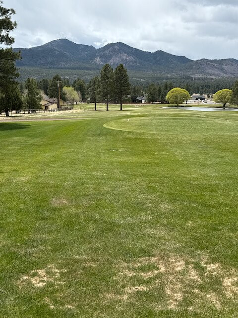 Elephant Rocks at Williams-威廉姆斯必去景点