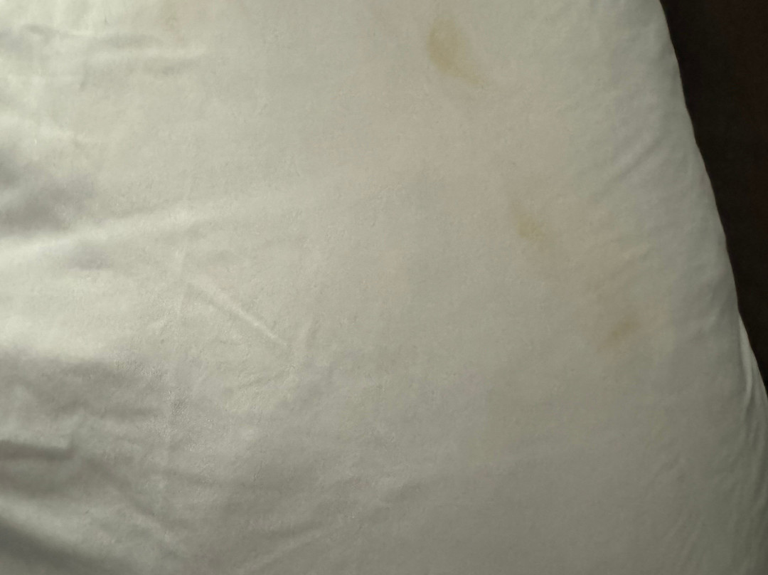 La Quinta Inn & Suites by Wyndham Cincinnati Sharonville主图