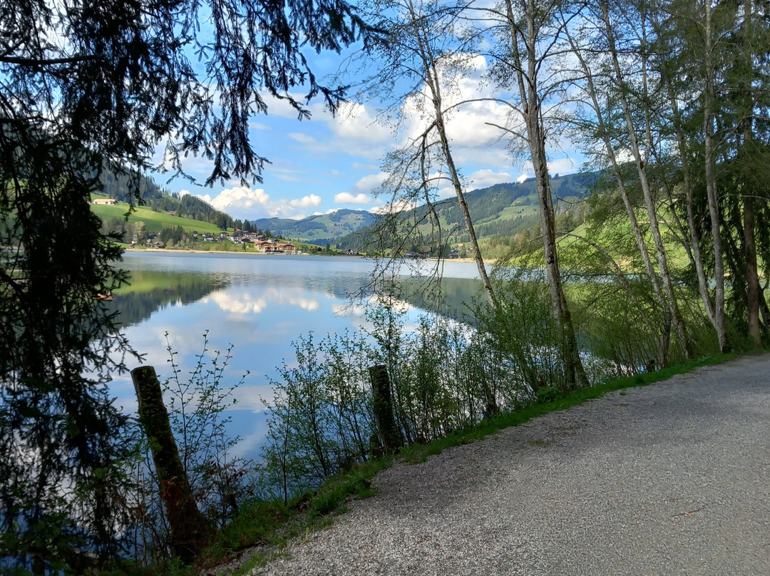Schwarzsee Lac Noir-施瓦茨塞湖必去景点
