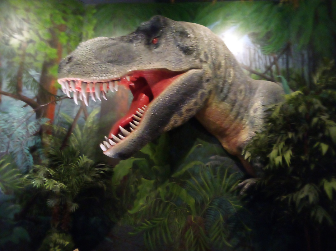 The Journey Museum-拉皮德城必去景点