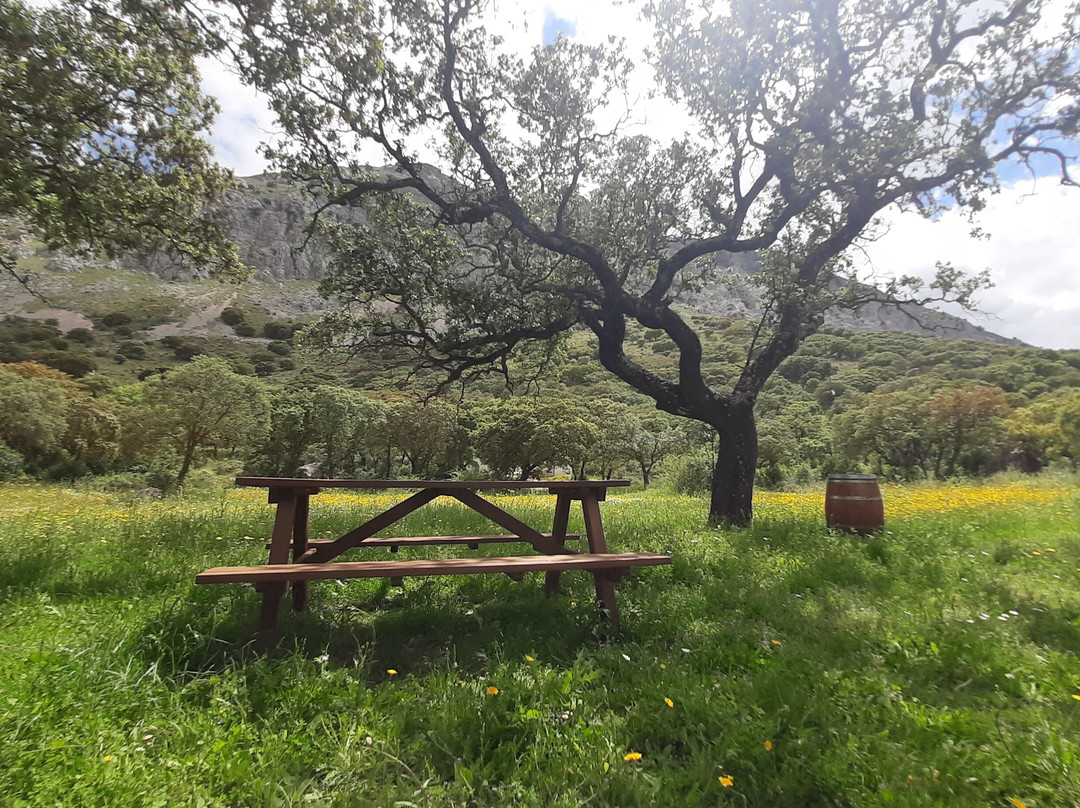 Bodega Gross Hermanos-安特克拉必去景点