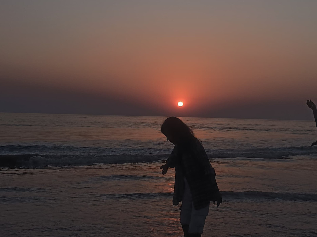 Dandi Beach-纳夫萨里必去景点