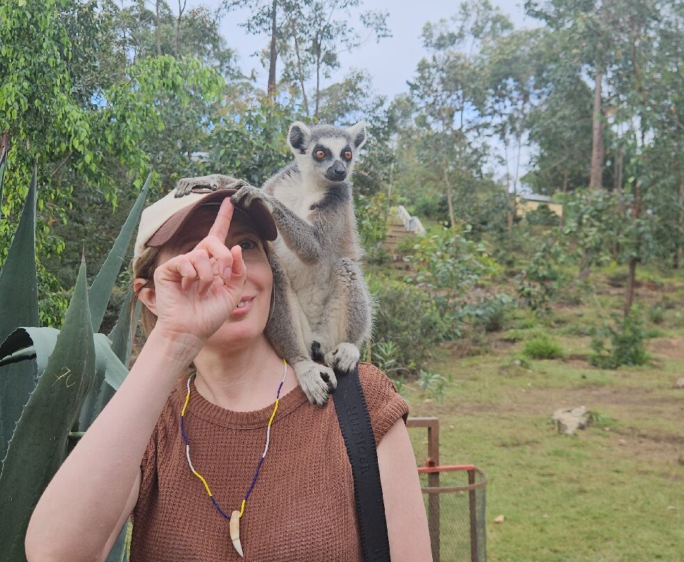 Madagascar Visite Company-安塔那那利佛必去景点