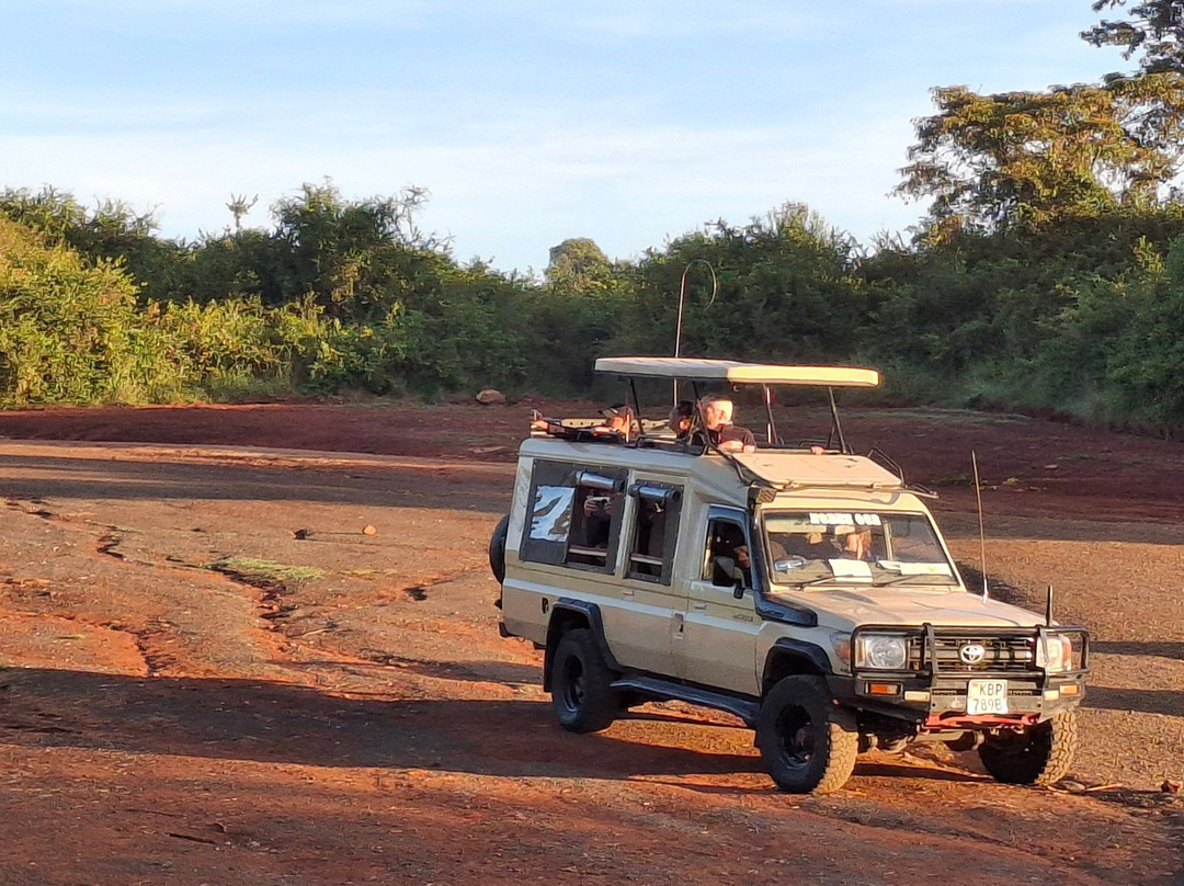 Malnodez Safaris-纳库鲁必去景点