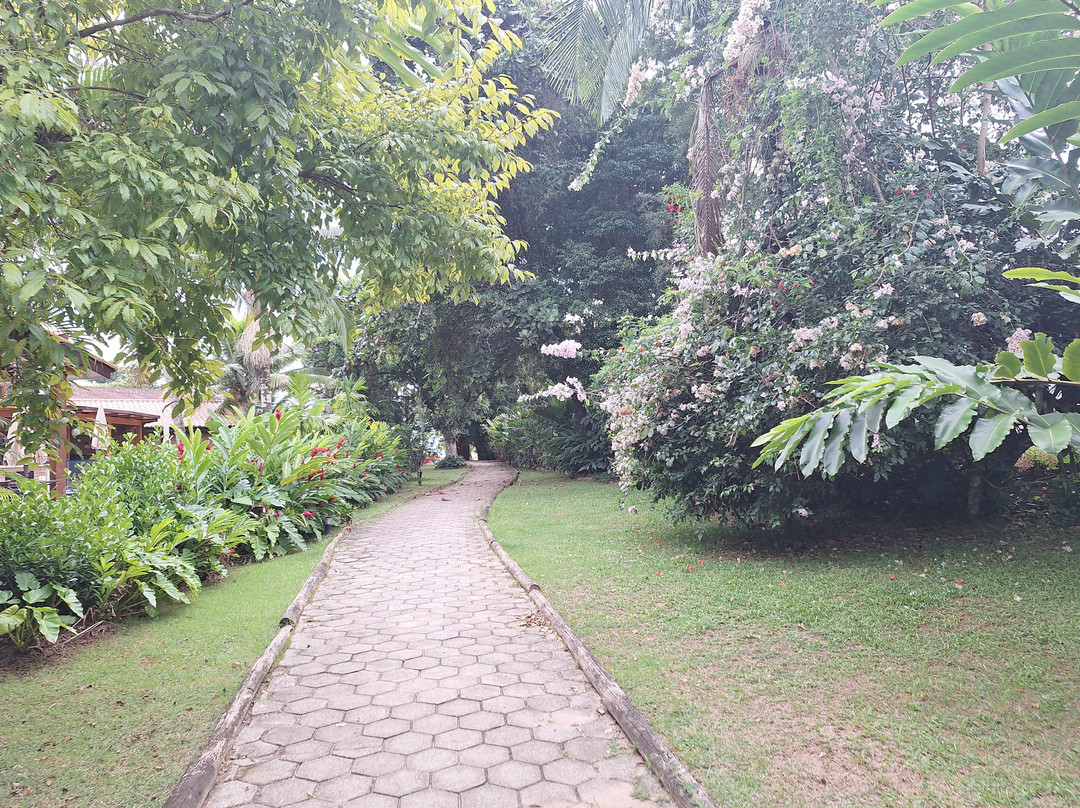 Praia do Pulso-乌巴图巴必去景点