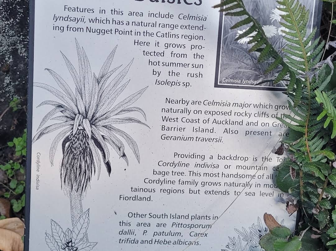 Fernglen Native Plant Gardens-Birkenhead必去景点