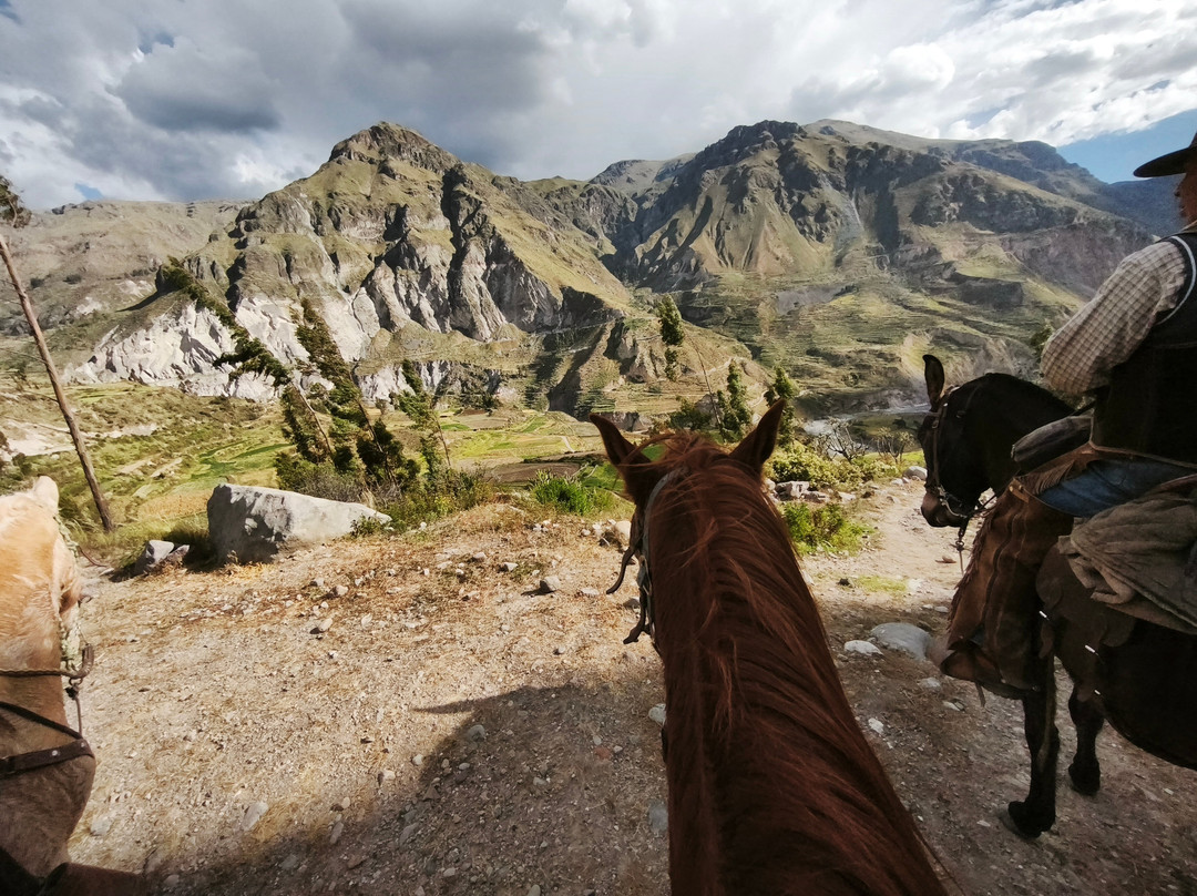 Cabalgatas Kgoriwayra景点图片