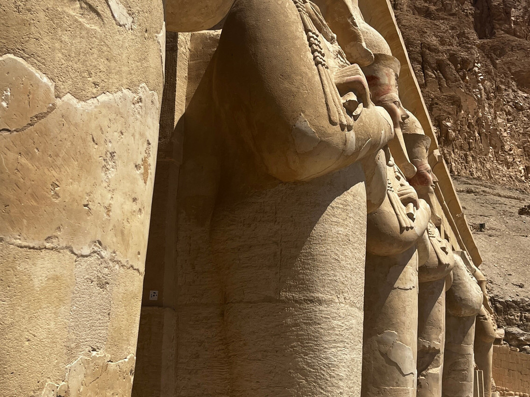 Blue Lotus-卢克索必去景点