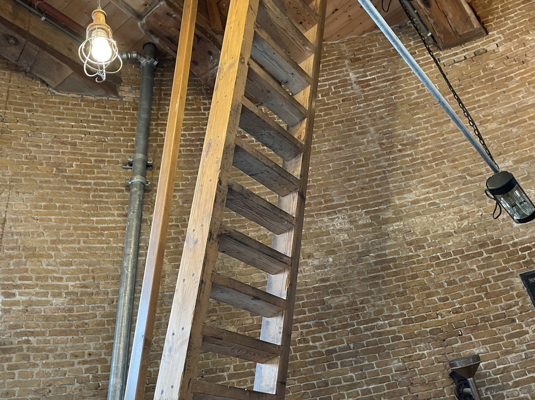 Museummolen de Walvisch-Schiedam必去景点