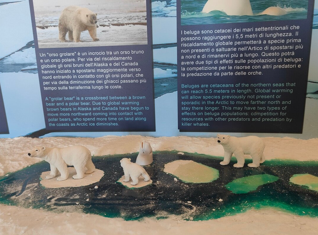 Museo dell'Ecologia景点图片
