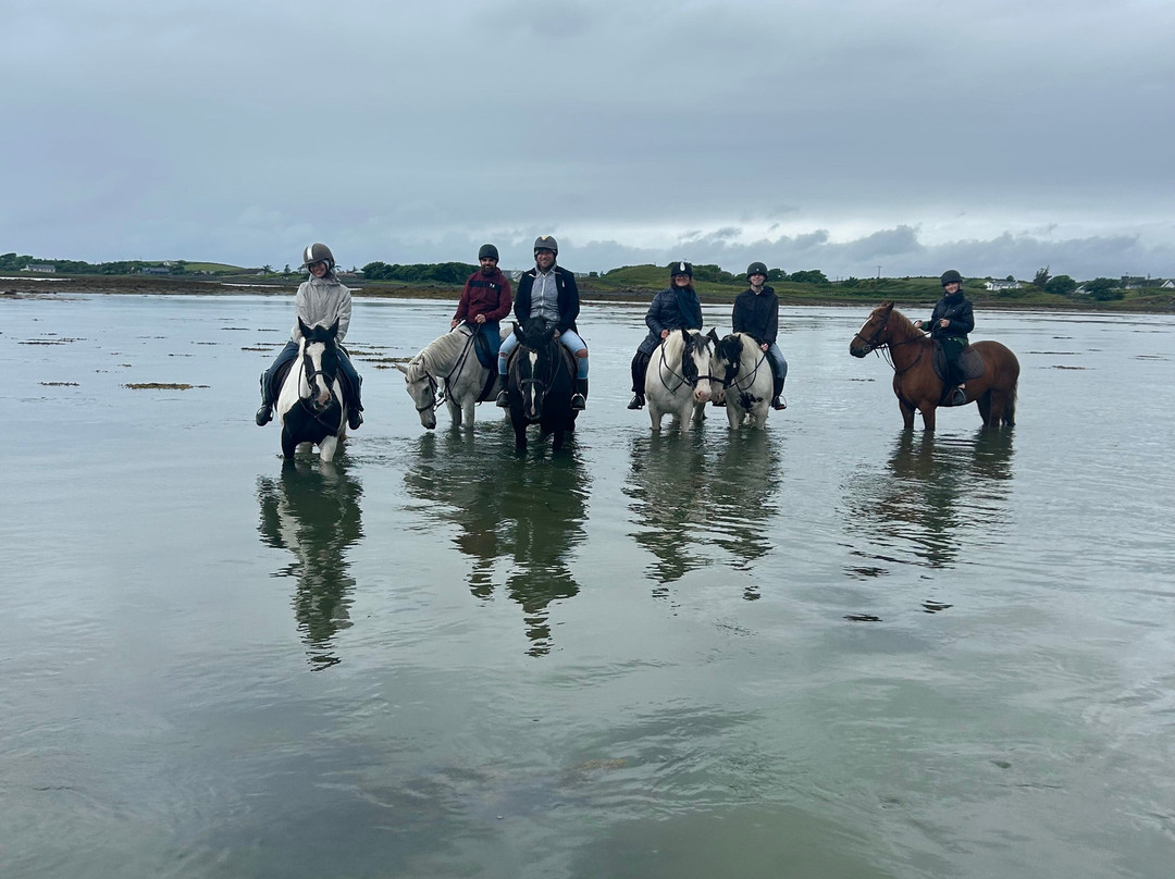 Carrowholly Stables & Trekking Centre景点图片