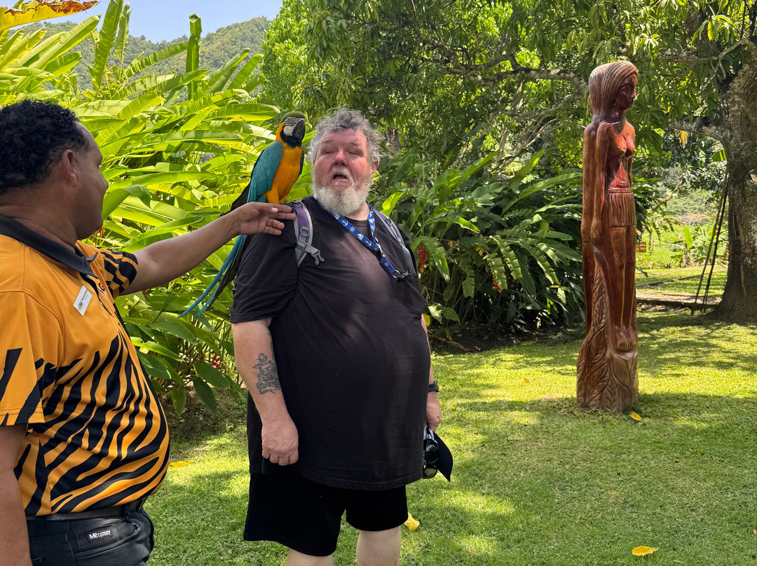 Mega Adventures-普拉塔港必去景点