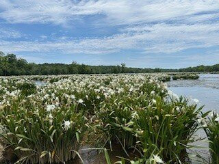 NC Outdoor Adventures-Bakersville必去景点