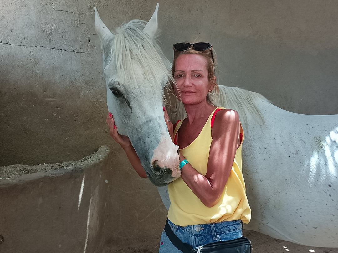 Horse Safari Hurghada-赫尔格达必去景点