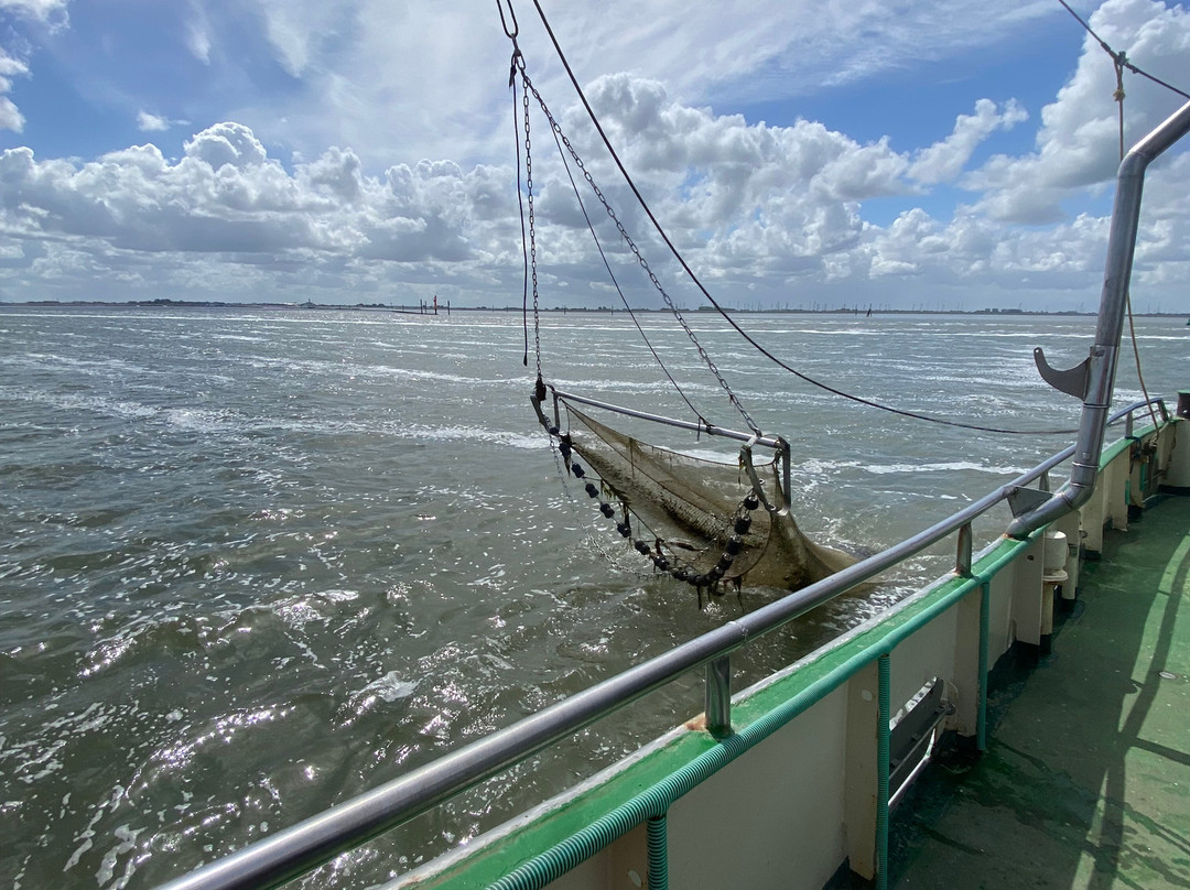 Krabbenfischen mit der MK Moewe-Bensersiel必去景点