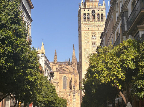 Pia Tours Sevilla-塞维利亚必去景点