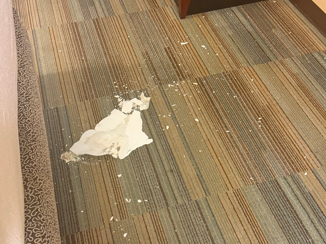 纽约州奥尔巴尼医疗中希尔顿花园酒店主图