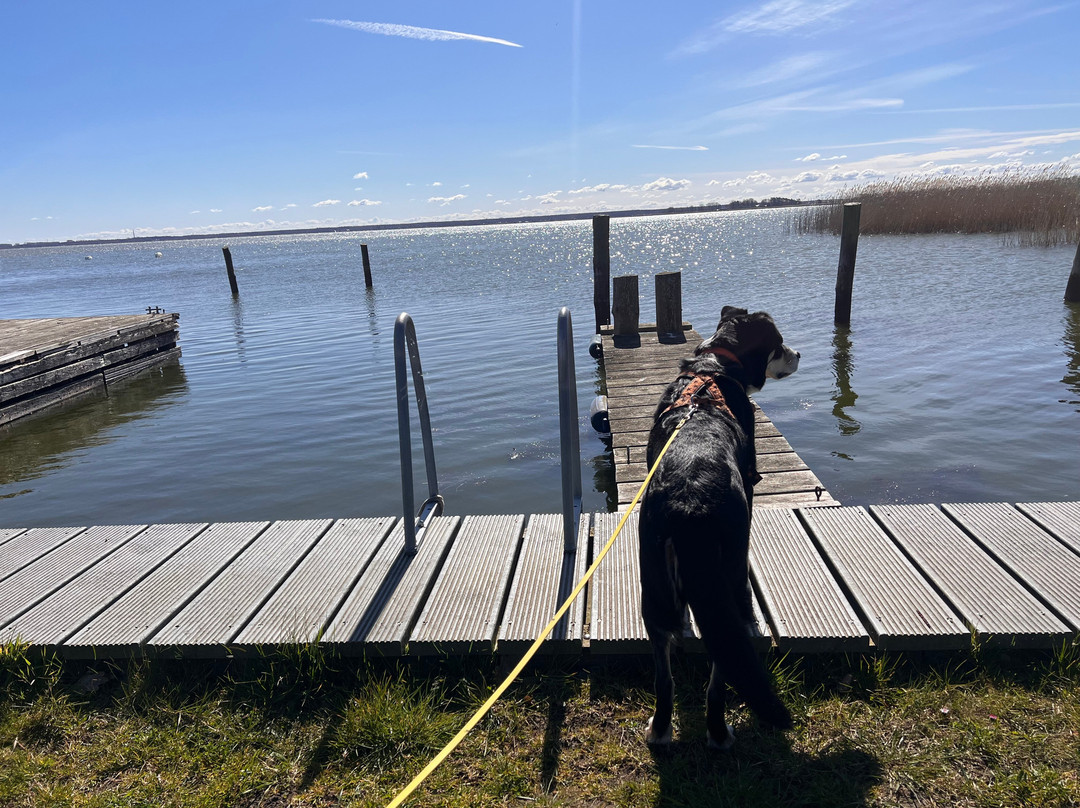 Hotel Haferland主图