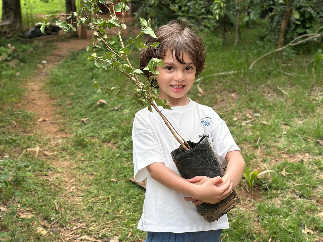 Fazenda Capoava主图