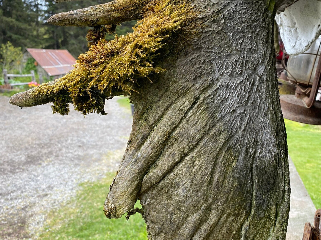 Crow Creek Mine-戈德伍德必去景点