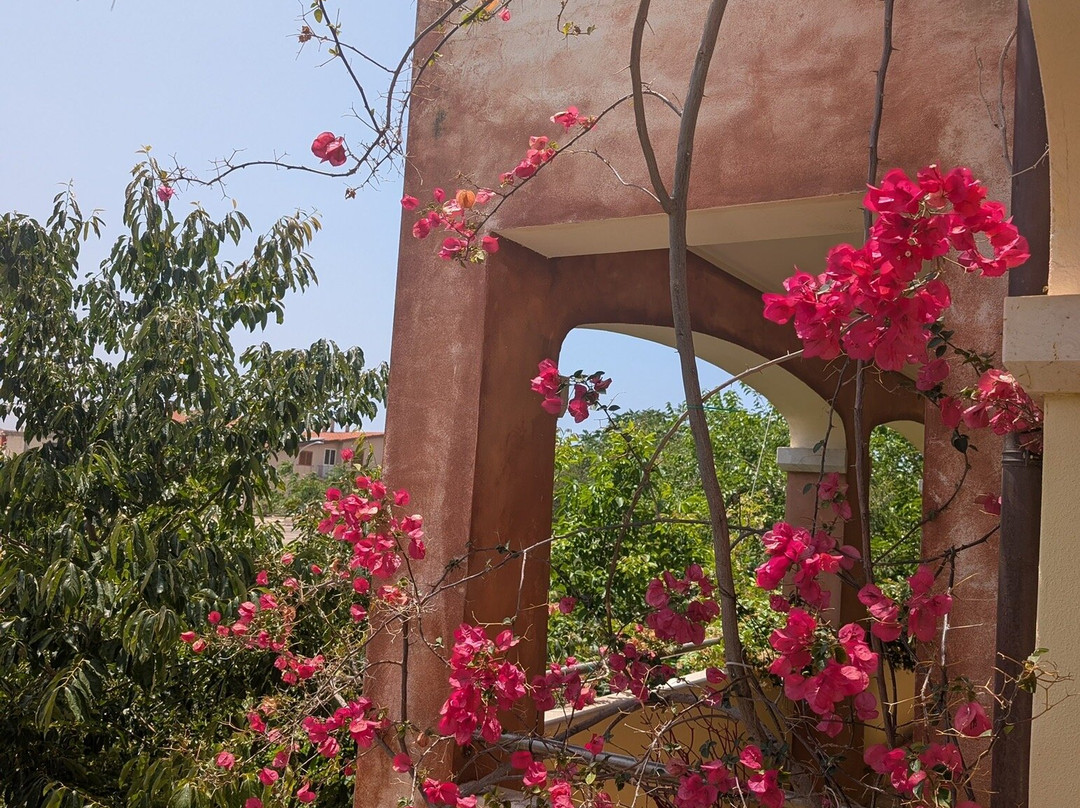 Baja Romantica主图