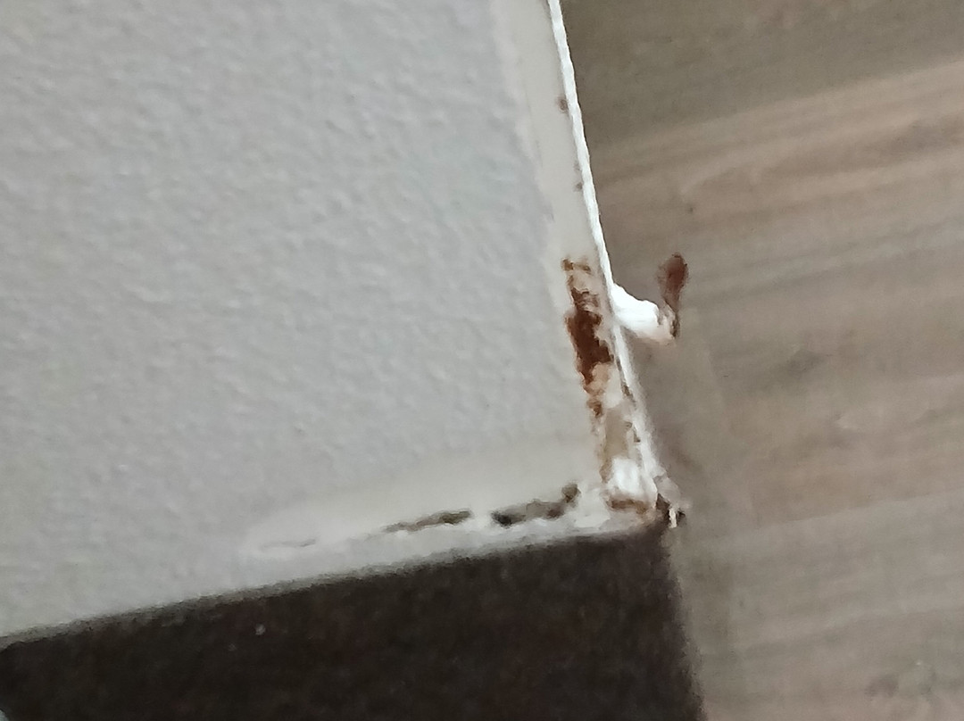 B&B HOTEL Villeneuve-Loubet Village主图