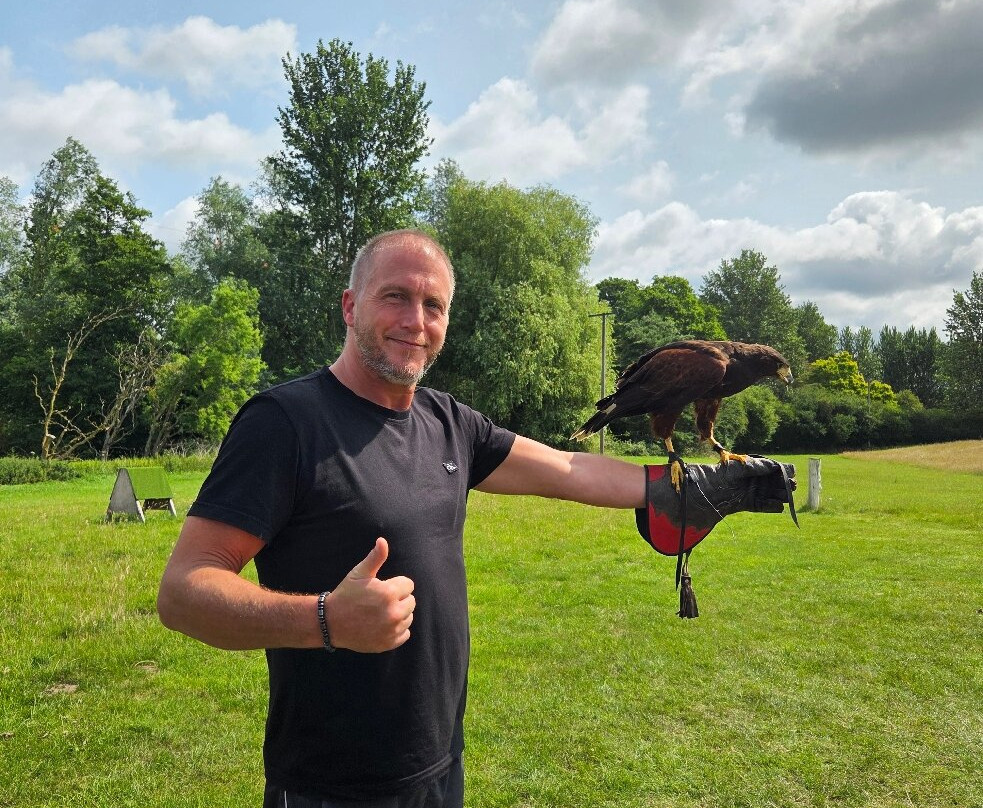 Lavenham Falconry景点图片