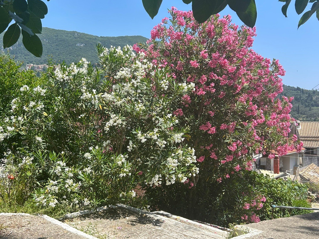 Vanakee Private Transfers & Tours-Gouvia必去景点