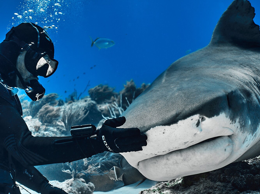 Epic Diving-West End必去景点