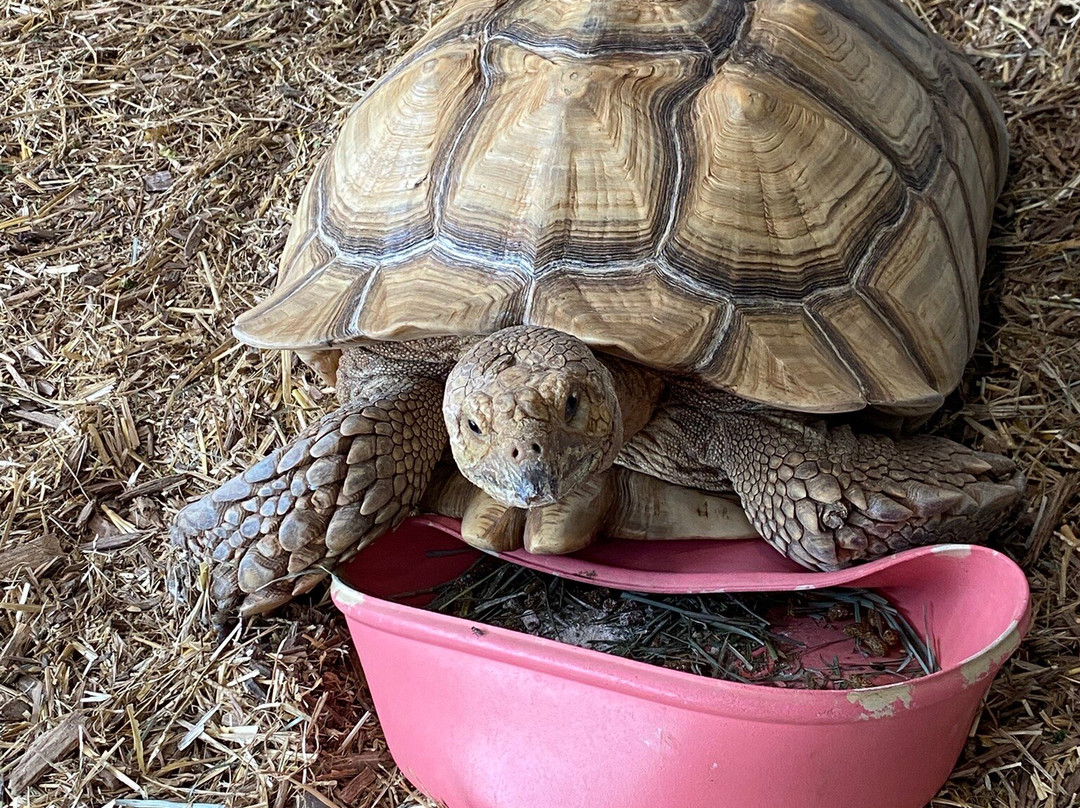 Blue Zoo Aquarium Rogers-罗杰斯必去景点