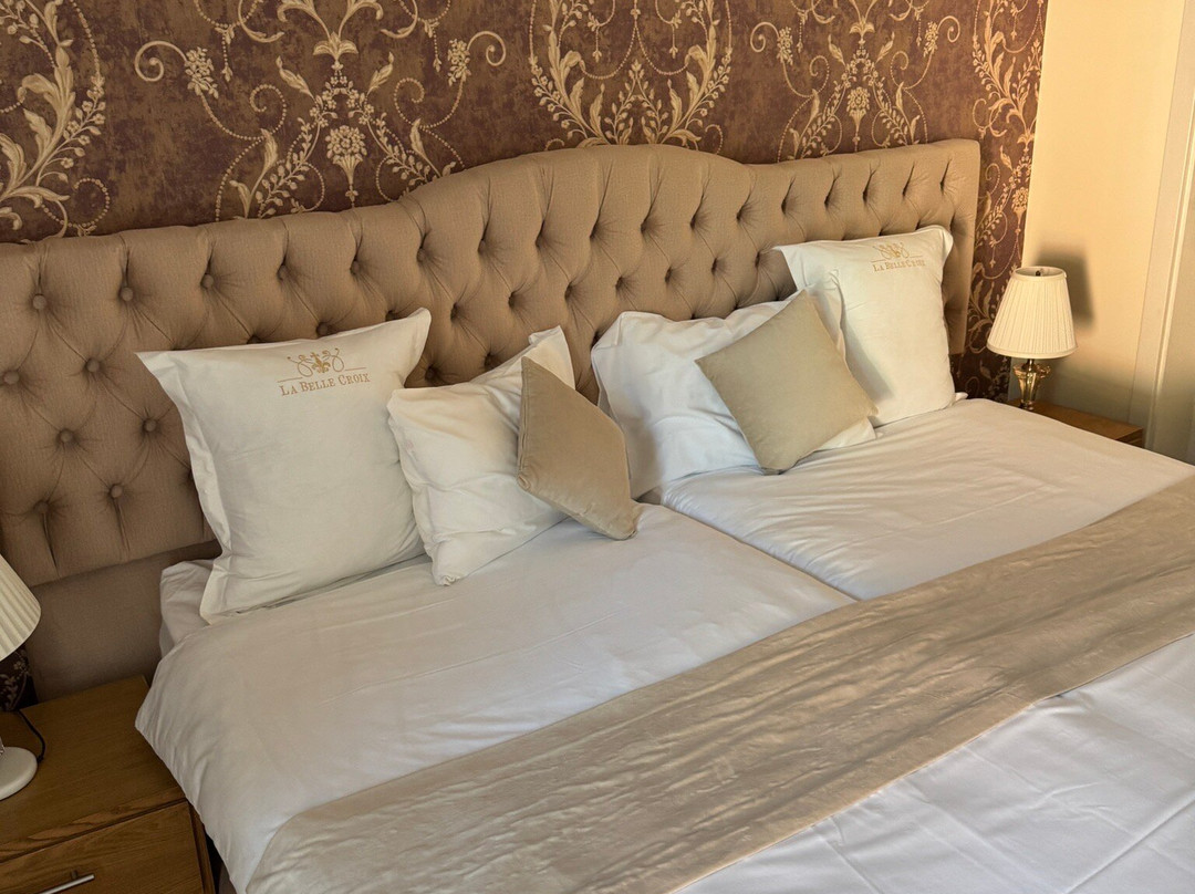 Hotel La Belle Croix主图