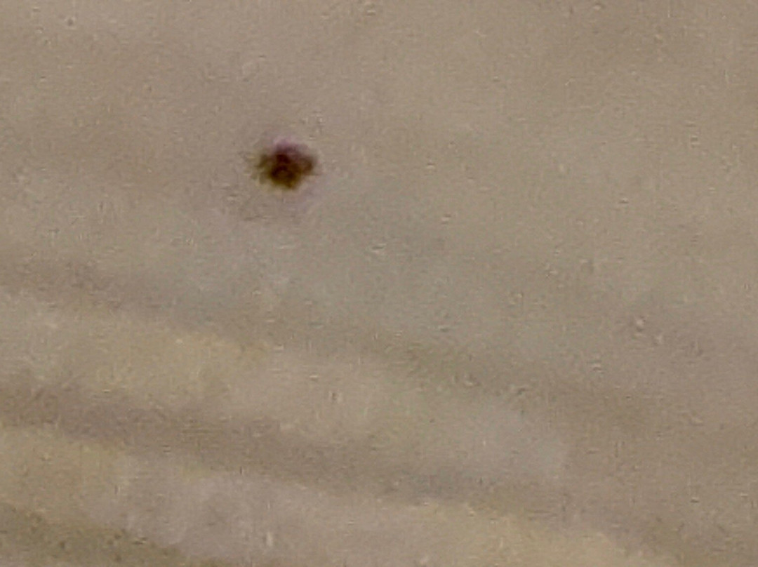 Days Inn by Wyndham Lisbon主图