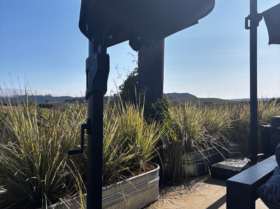 Chamisal Vineyards-圣路易斯-奥比斯波必去景点