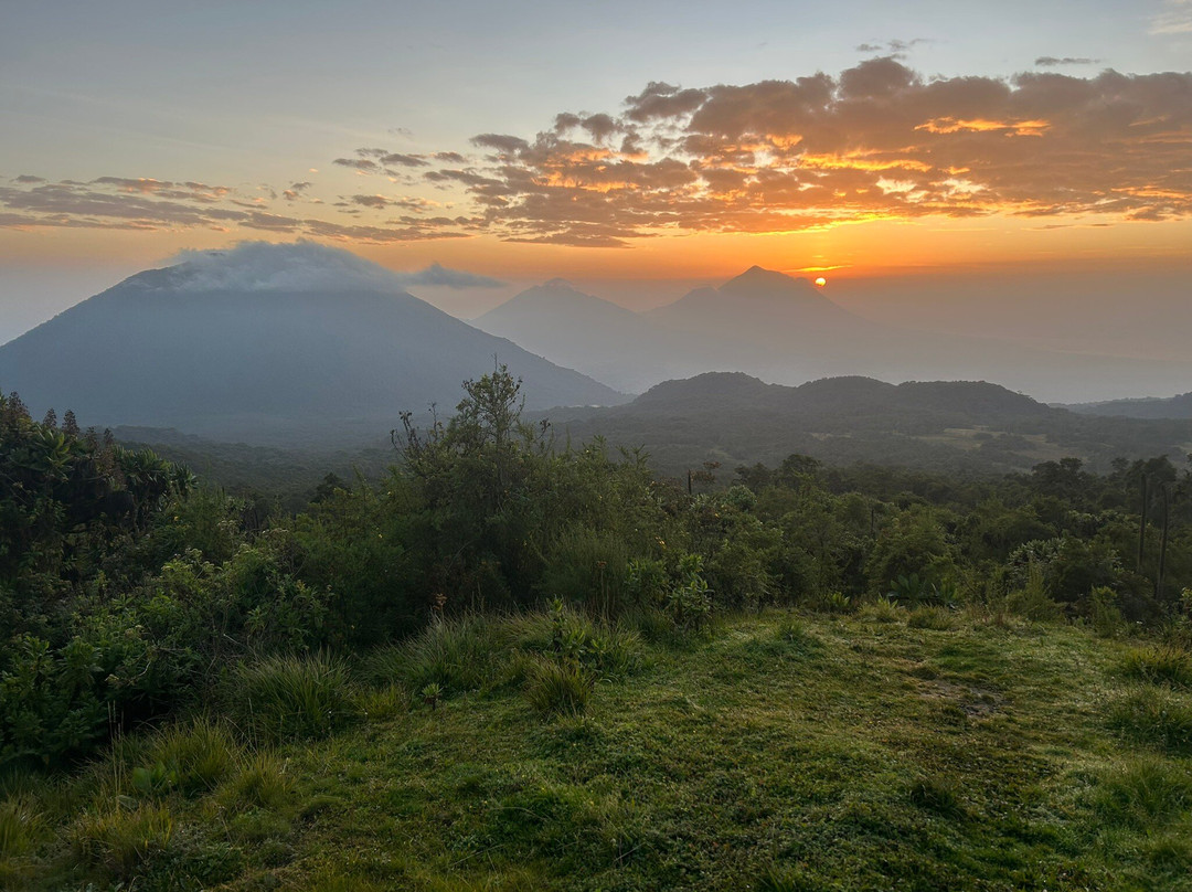 Beyond the Gorillas Experience-Ruhengeri必去景点