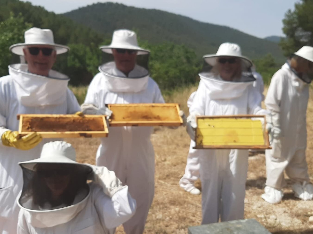 Guatazales experiencias-Bullas必去景点