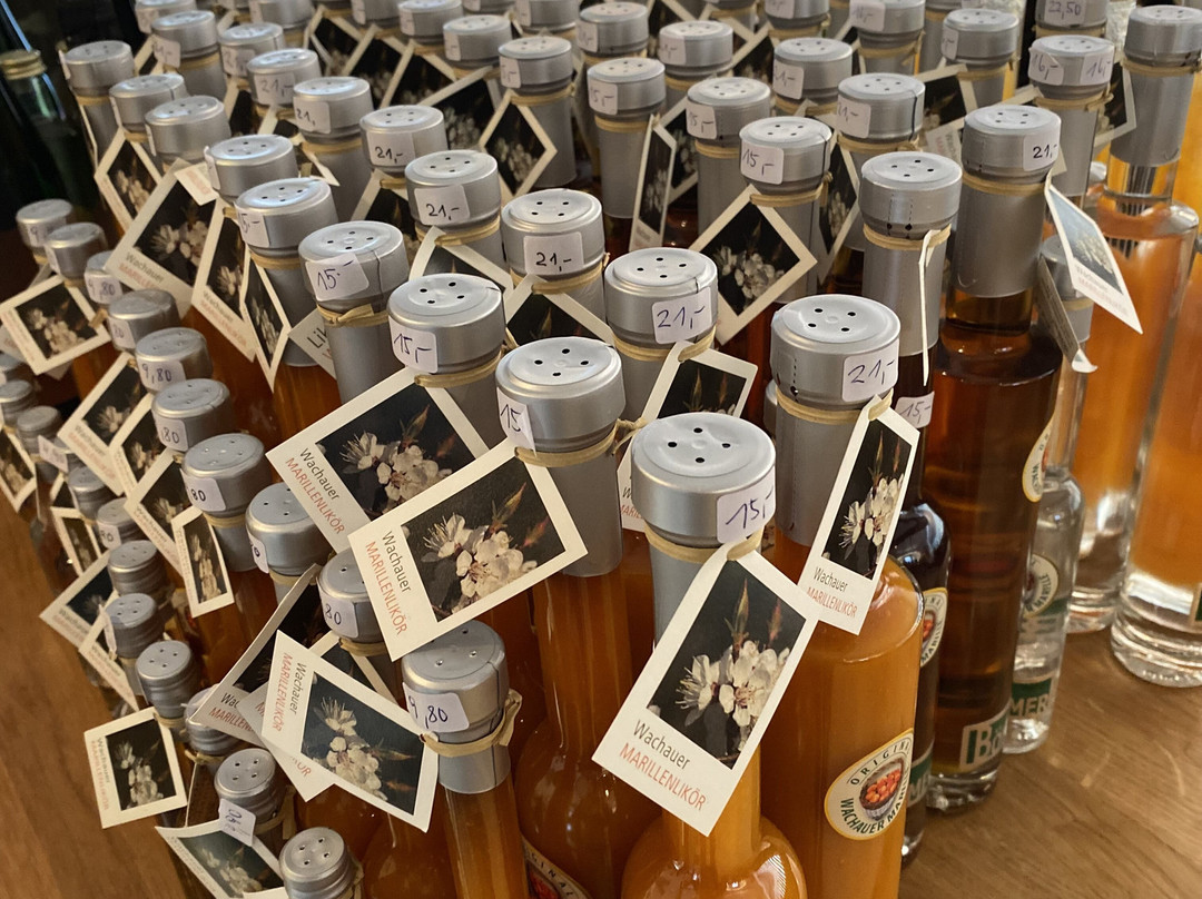 Vinotake Duernstein-都恩石必去景点