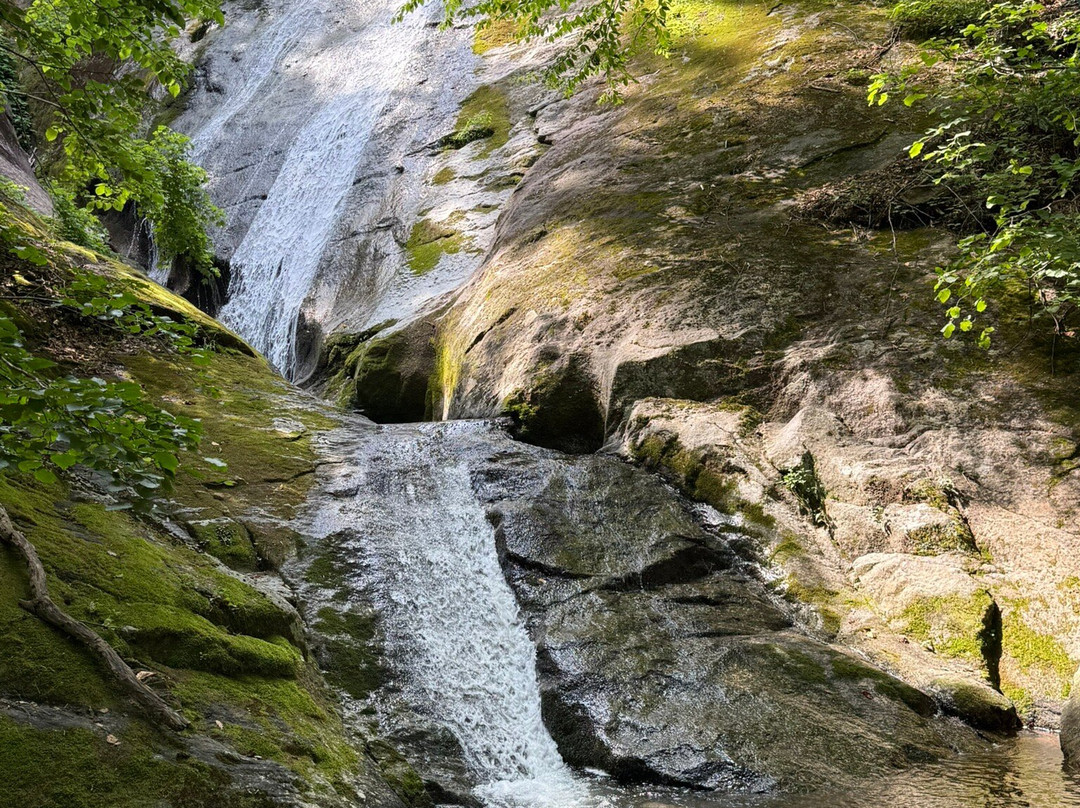 Crabtree Falls-Wintergreen必去景点