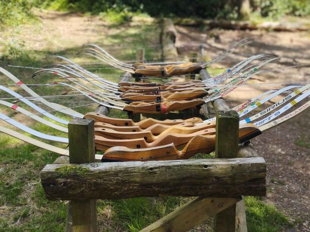 Insight Activities New Forest-Fordingbridge必去景点