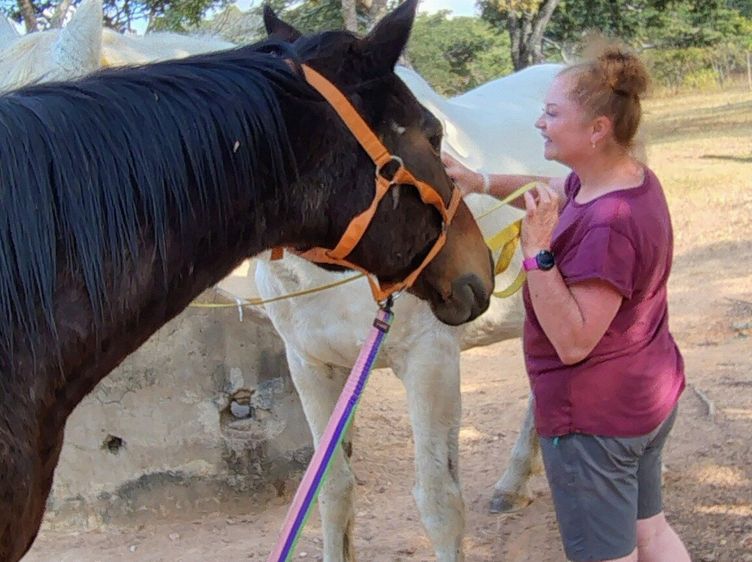 Twala Trust Animal Sanctuary-哈拉雷必去景点