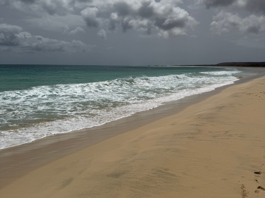 Santa Monica Beach-圣莫尼卡必去景点