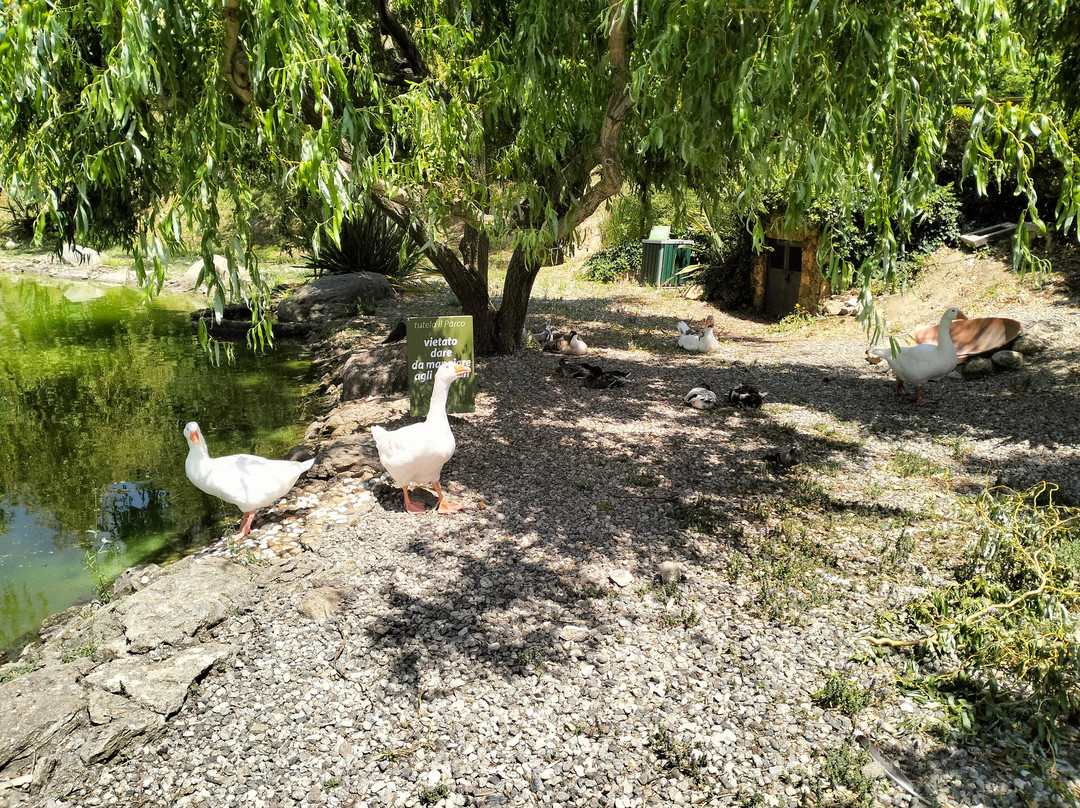 Parco della Biodiversita Mediterranea-卡坦扎罗必去景点
